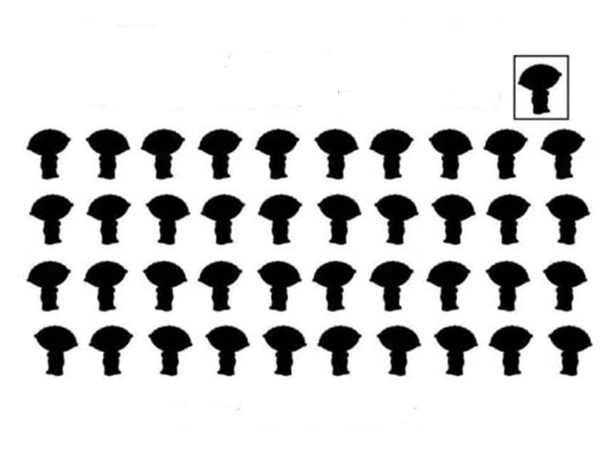 MmEQdbCO9Rw.jpg